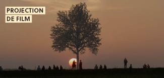 arbre et silhouettes humaines devant coucher de soleil